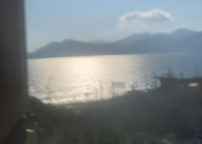 Appartement Bord De Et Commerces 588